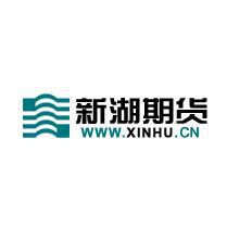 新湖期货有限公司