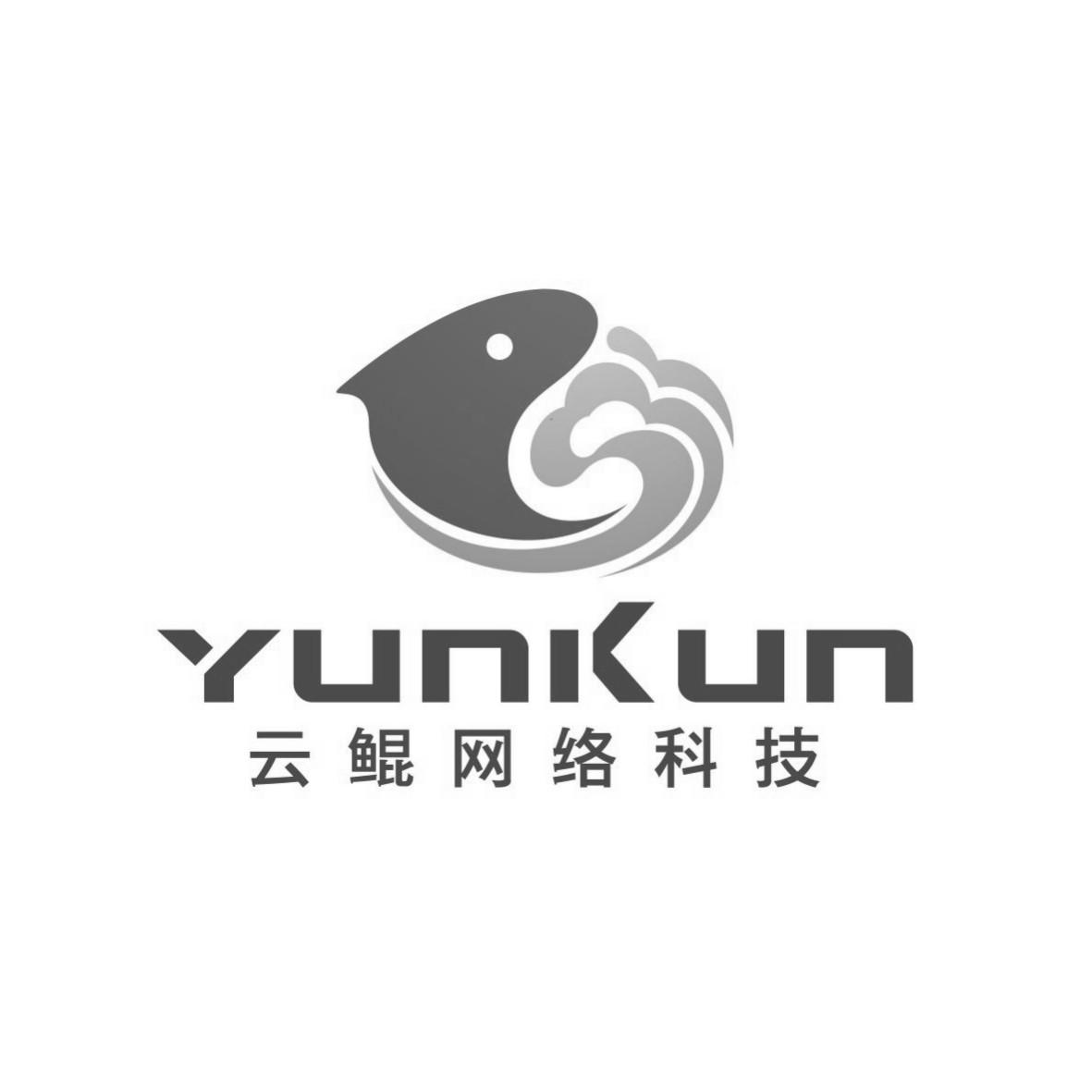 杭州云鲲网络科技有限公司