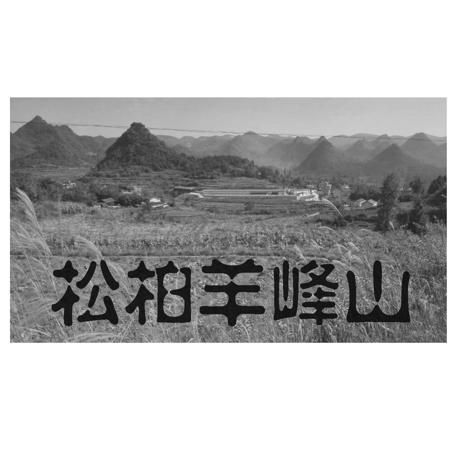 永顺县松柏镇鸿源牧业发展有限公司