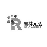 江西睿林元泓信息咨询服务有限公司