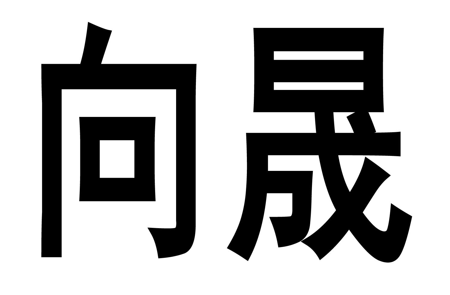 上海向晟资产管理有限公司