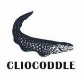 商标名称:cliocoddle 注册号:9453065 商标类型:第25类-服装鞋帽