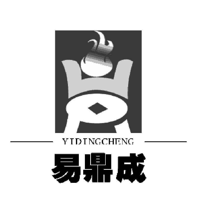 安徽易鼎成贸易有限公司