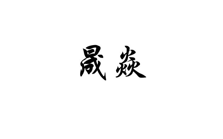 网站备案 品牌信息 商标信息 专利信息 软件著作权信息 商标名称:晟焱