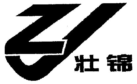 广西南宁壮锦橡胶有限责任公司