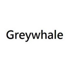 greywhale 21123624 第09类-科学仪器 2016-08-26 详情