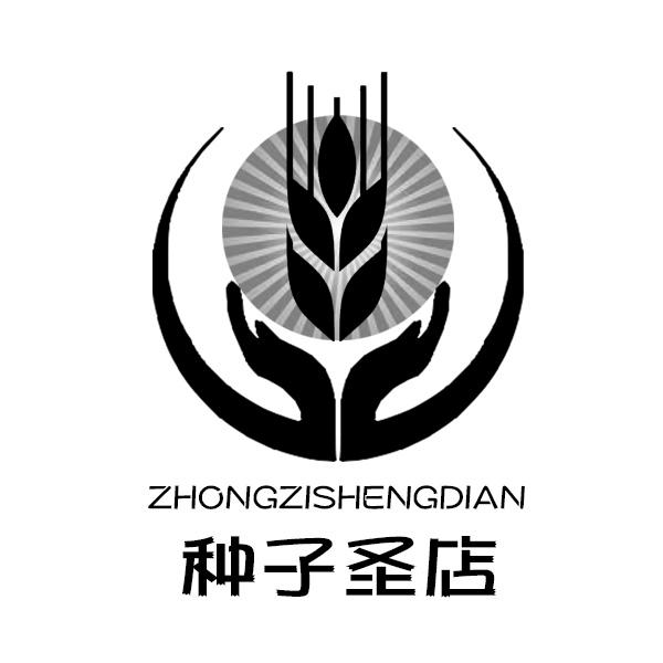 大同市南郊区五谷元素食品加工厂_企业商标大全_商标