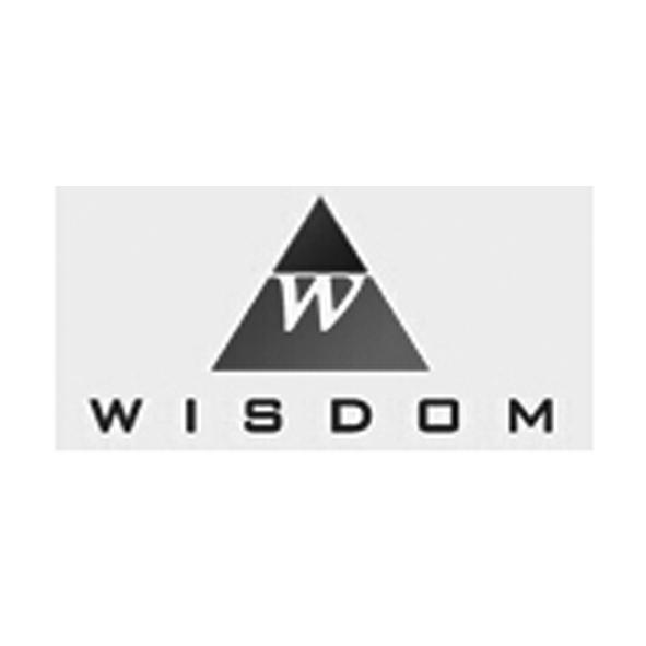 wisdomw wisdom w 18132439 第09类-科学仪器 2015-10-22 详情