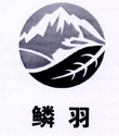 鳞羽 17604403 第01类-化学原料 2015-08-06 详情