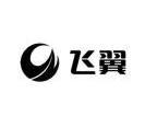 飞翼股份有限公司