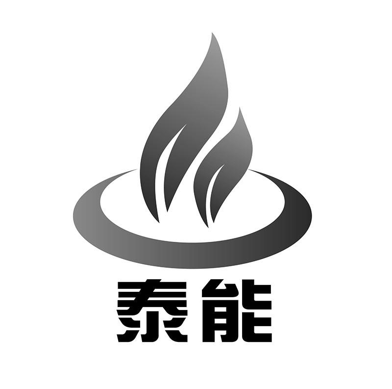 辽宁泰能科技有限公司