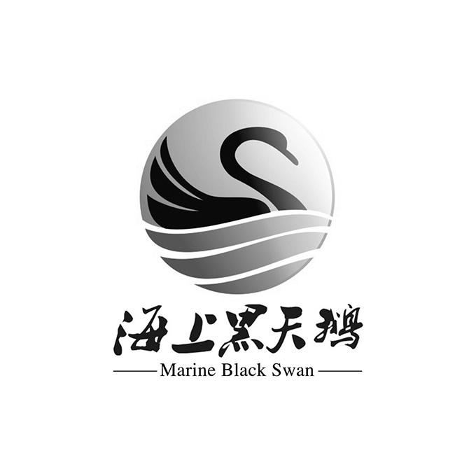 商标名称:海上黑天鹅 marine black swan 注册号:18314334 商标类型