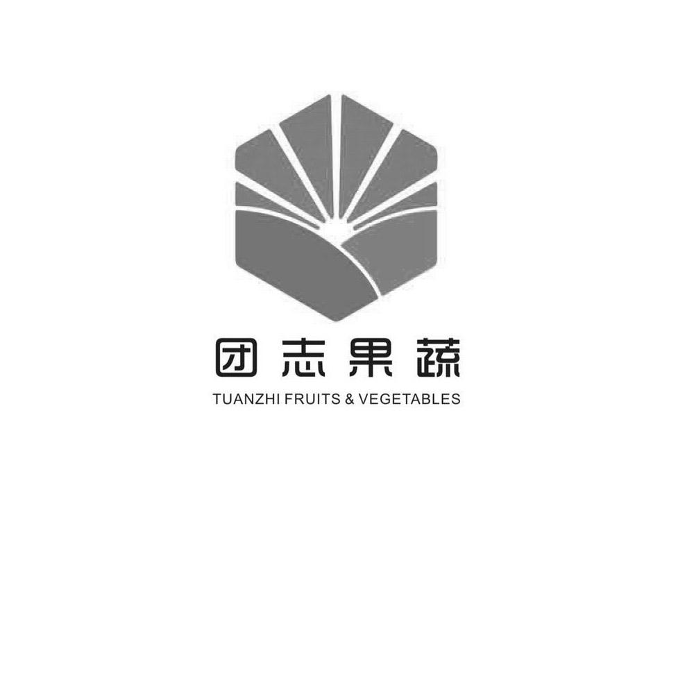 上海团志果蔬专业合作社