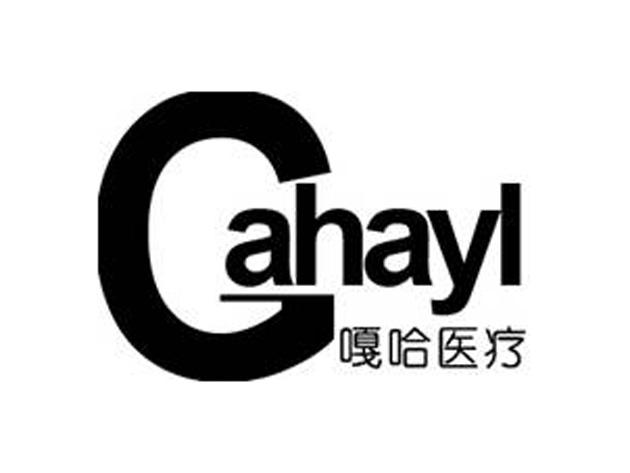 申请日期 操作 1 嘎哈医疗 gahayl 19076928 第10类-医疗器械 2016-02