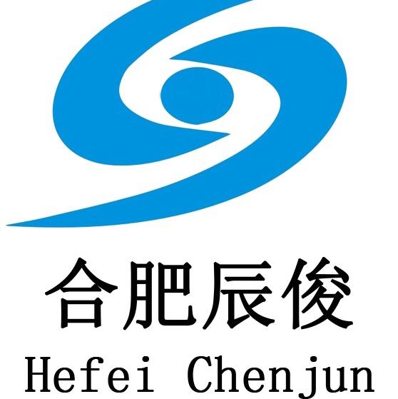 合肥辰俊信息科技有限公司