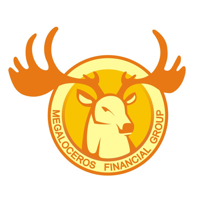 上海大角鹿金融信息服务有限公司