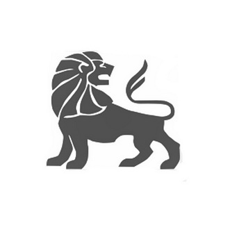 浙江狮王砂轮有限公司