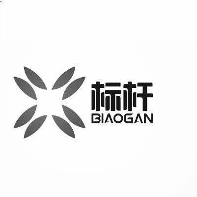 四川标杆电气有限公司