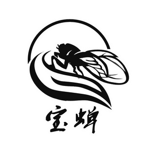 宝蝉 20776798 第09类-科学仪器 2016-07-26 详情