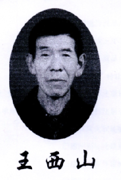 开封市王西山食品有限公司