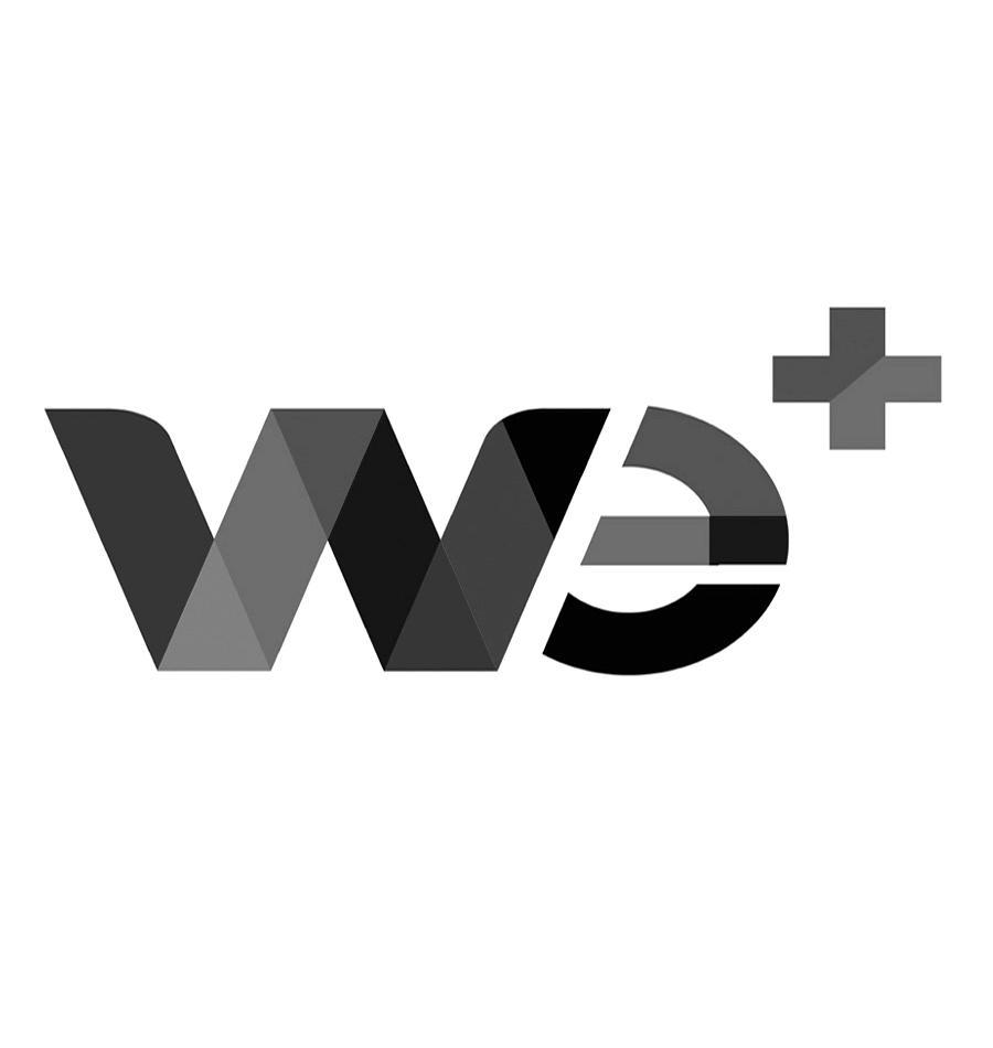 0 网站备案 品牌信息 商标信息 专利信息 软件著作权信息 商标名称:we