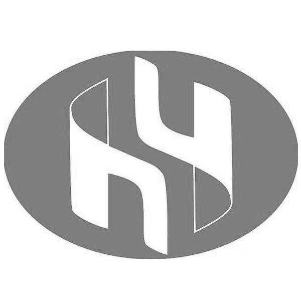 网站备案 品牌信息 商标信息 专利信息 软件著作权信息 商标名称:hy
