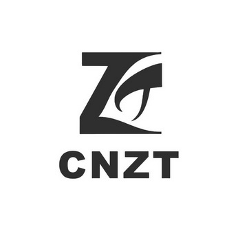网站备案 品牌信息 商标信息 专利信息 软件著作权信息 商标名称:cnzt
