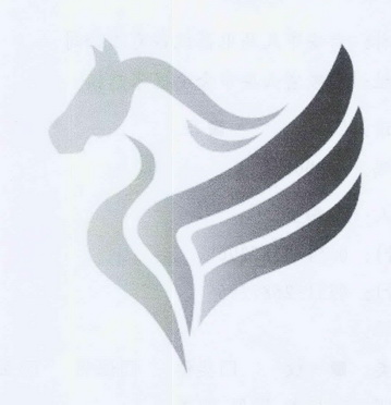 六安市天马电器设备有限公司