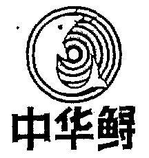 宜昌中华鲟电器工业公司