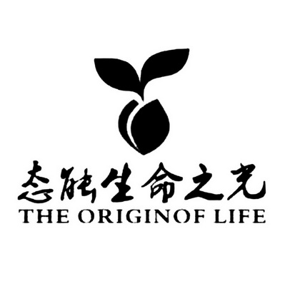 态能生命之光theoriginoflife the originof life 32154602 第10类