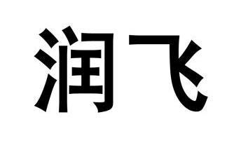 网站备案 品牌信息 商标信息 专利信息 软件著作权信息 商标名称:润飞