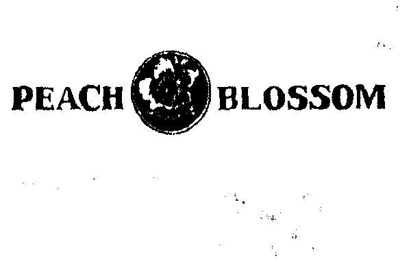 江苏亚伦集团股份有限公司