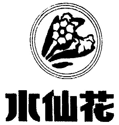 水仙花logo图片大全图片