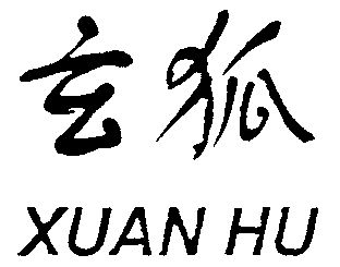 网站备案 品牌信息 商标信息 专利信息 软件著作权信息 商标名称:玄狐