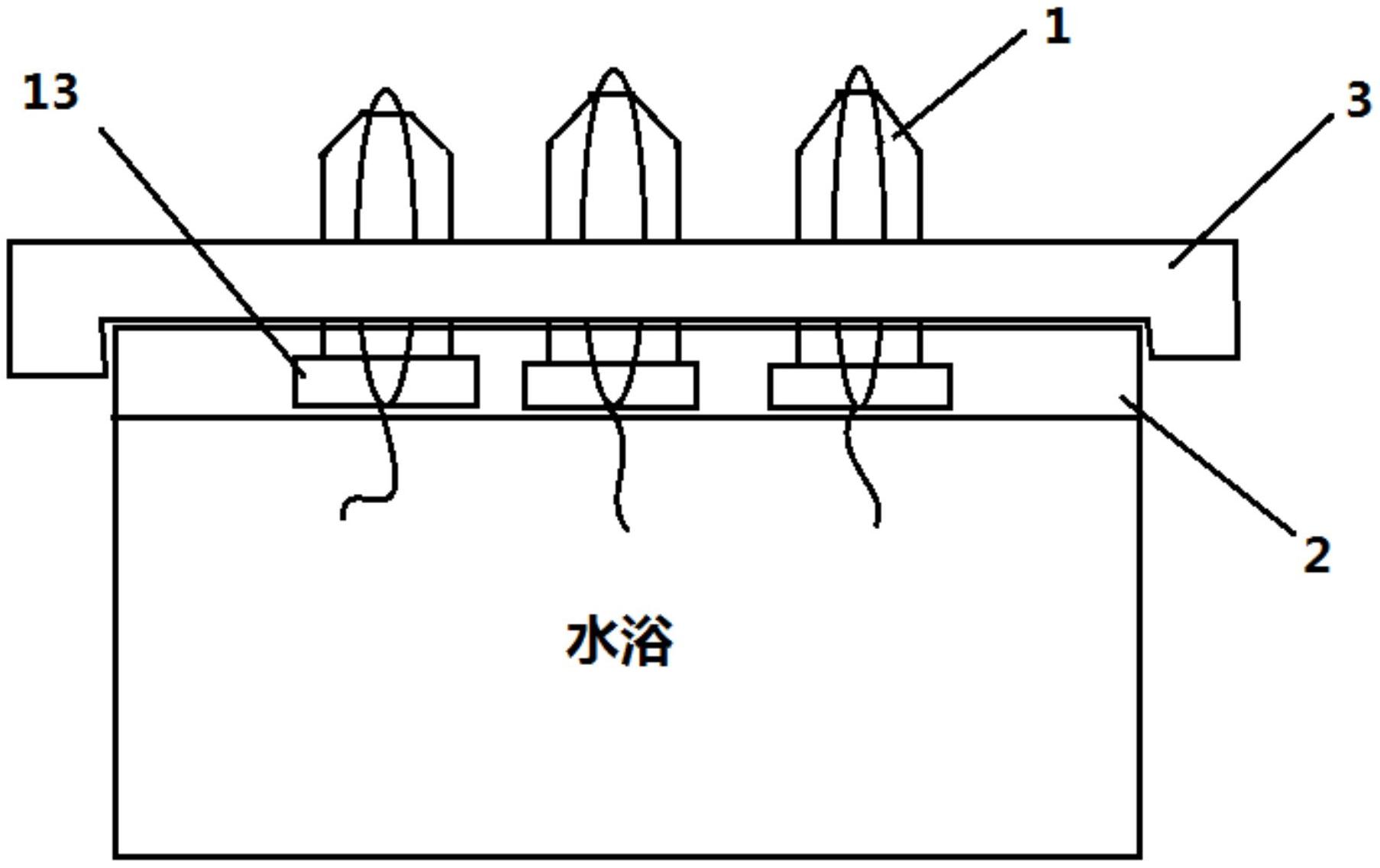 小鼠尾部血管示意图图片