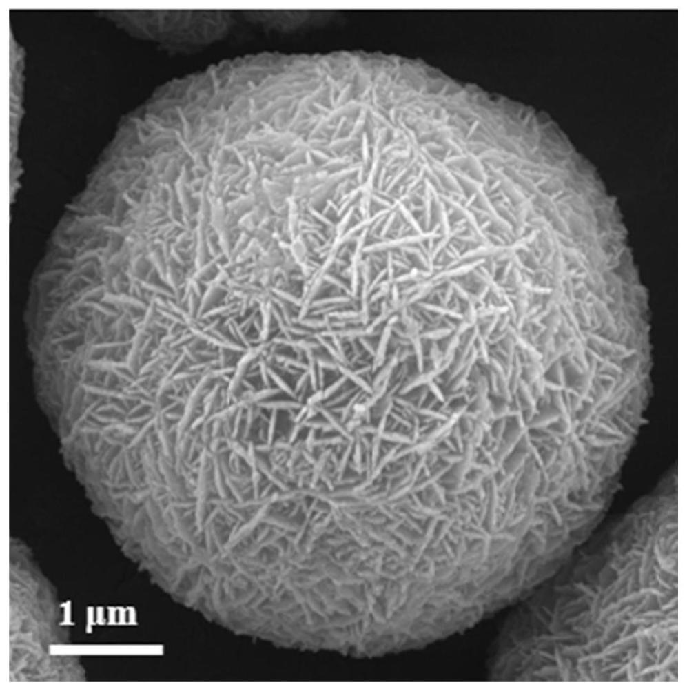 一种mg/mo原位双梯度共掺杂高镍三元正极材料前驱体及其制备方法和锂